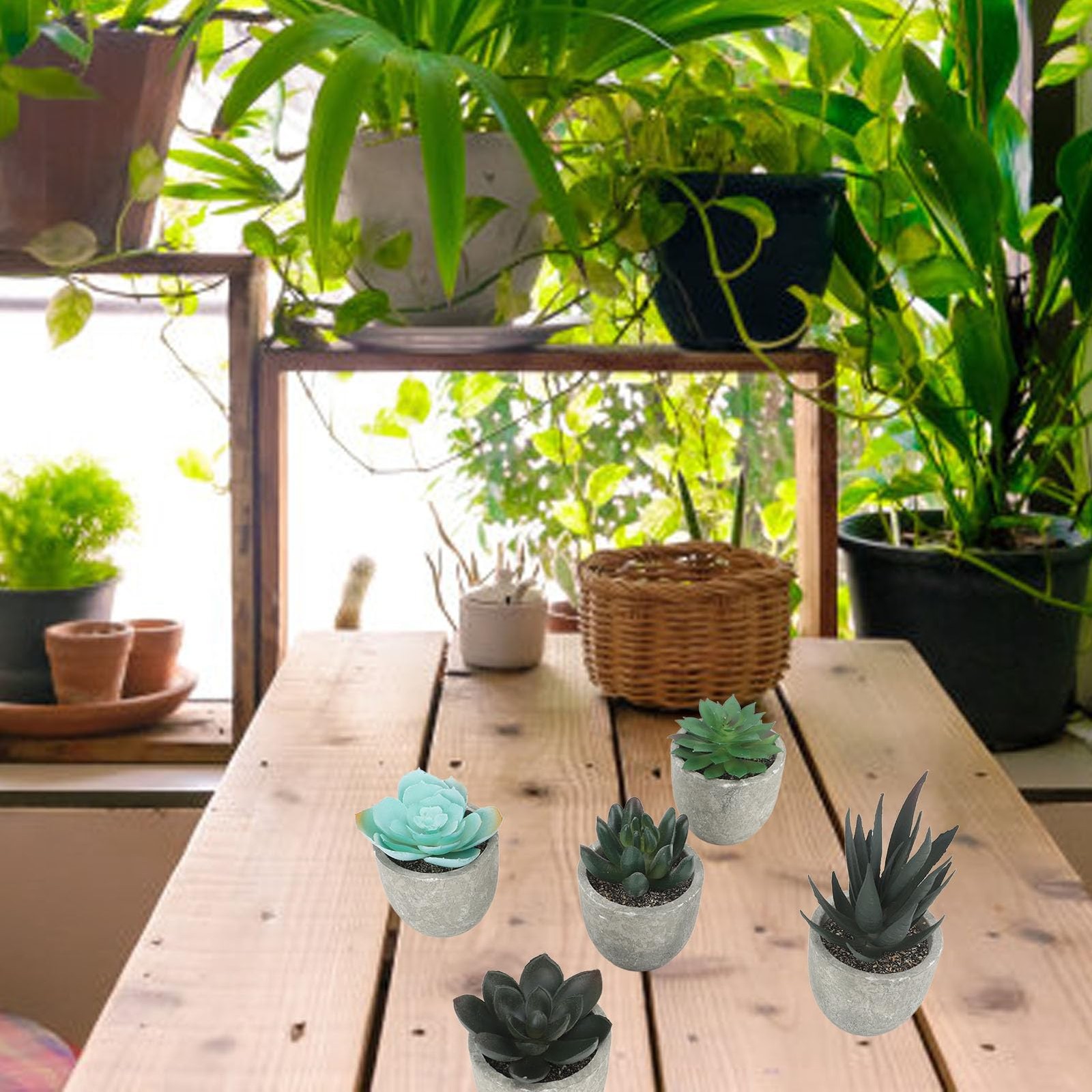 5 PCS Succulents Plants Artificial Mini Fake Pots Assorted Small Faux Decor