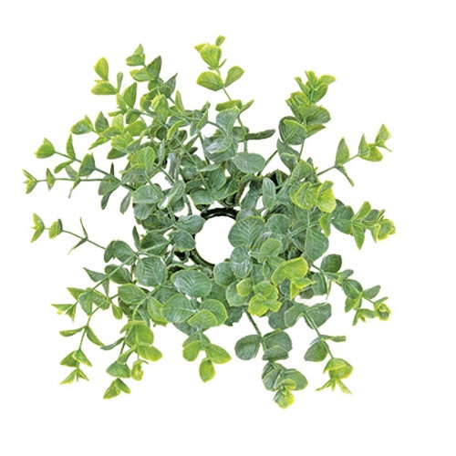 Baby Eucalyptus Taper Candle Ring 1″ Inner Dia. Greenery Floral Farmhouse