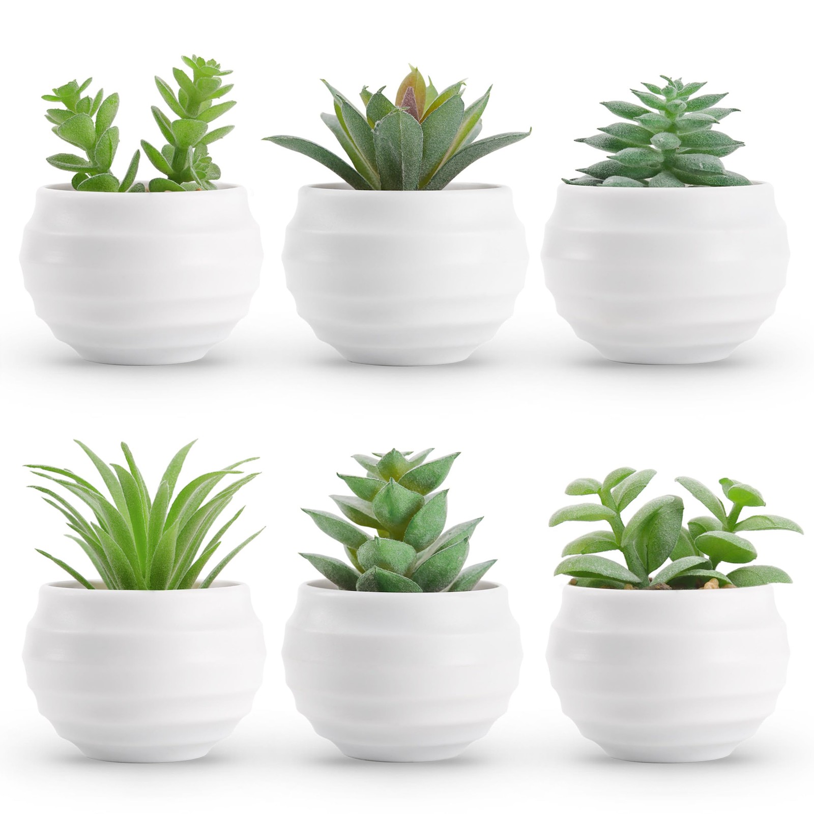 Der Rose Set of 6 Succulents Plants Artificial in Pots Small Fake Plants for