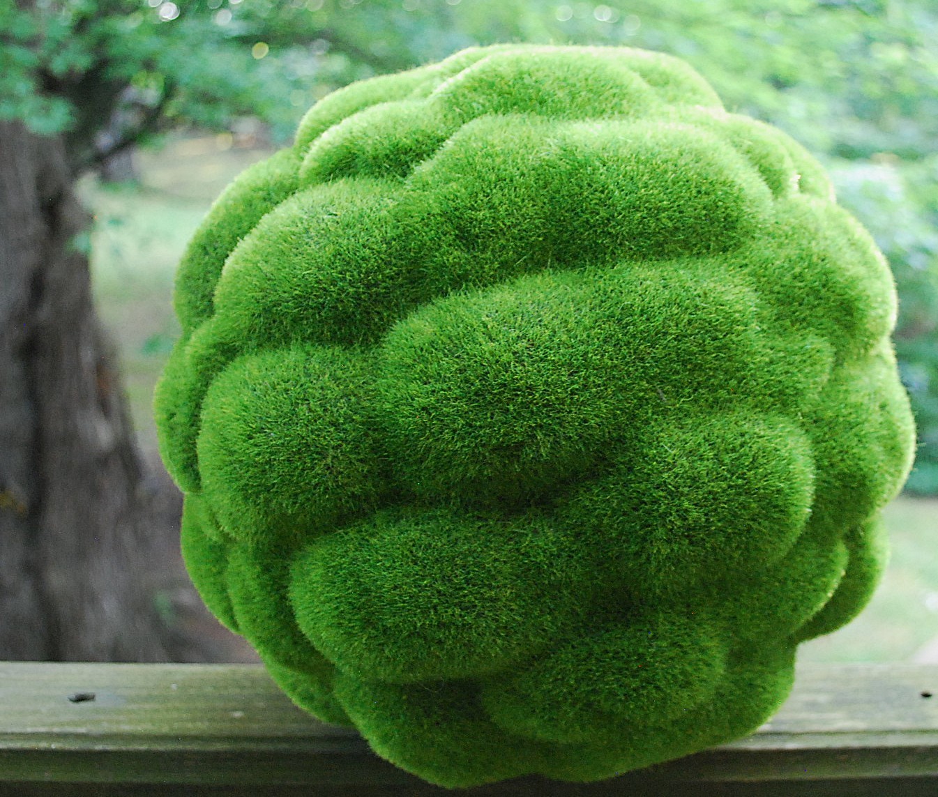 Vtg LARGE Green FAUX TURF GRASS TOPIARY KNOT/BALL 14″ Carved Textured Pattern