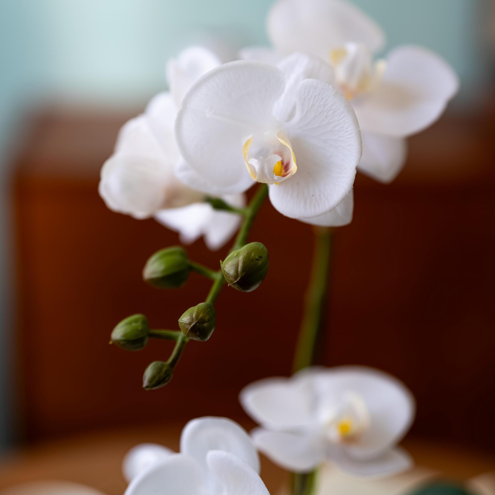 Artificial Real Touch Orchid Plant – 15″ Faux Phalaenopsis in Pot – Highly Re…