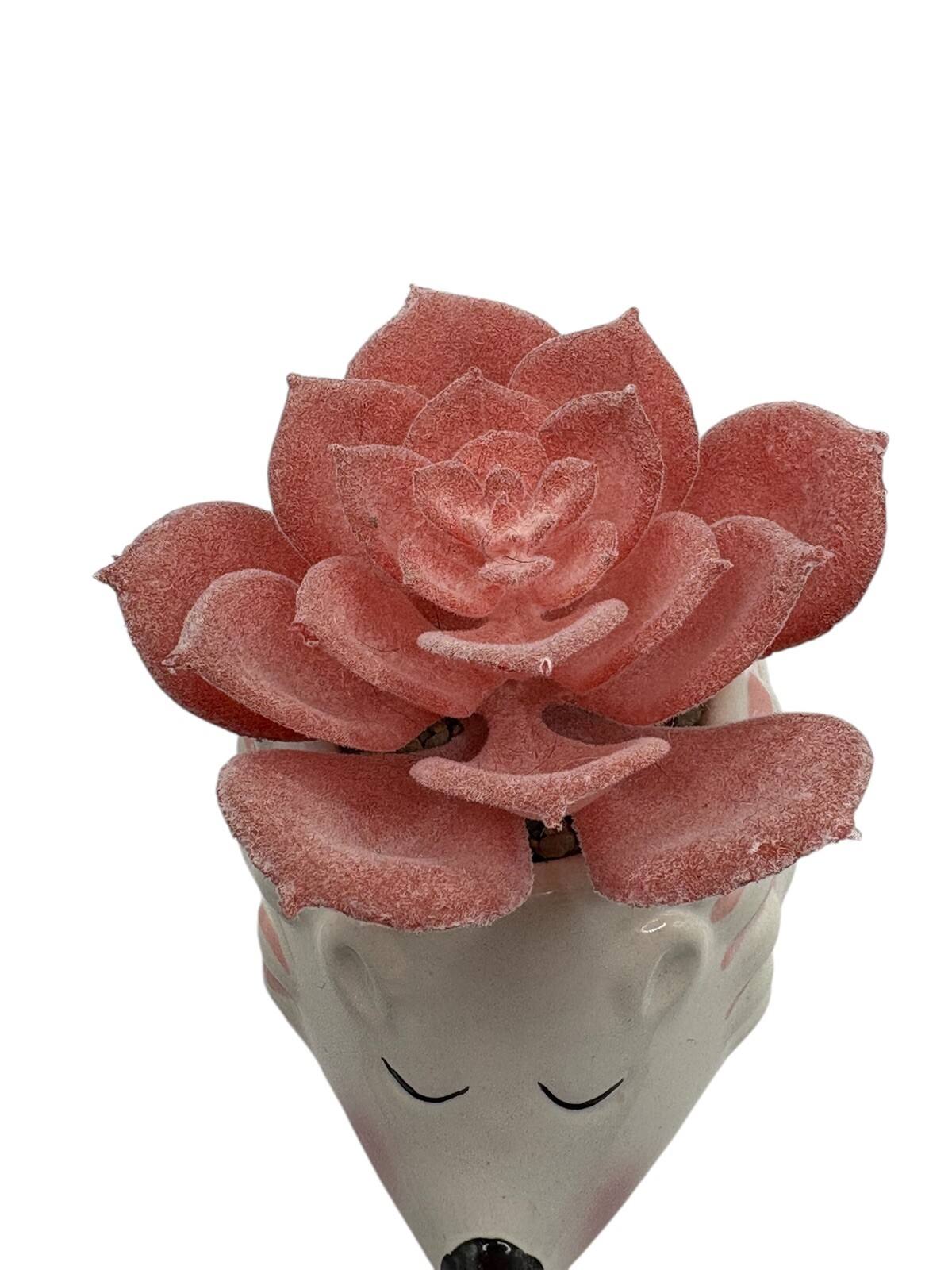 Cute Hedgehog Ceramic Flower Pot Faux Pink Succulent Animal Decoration Decor