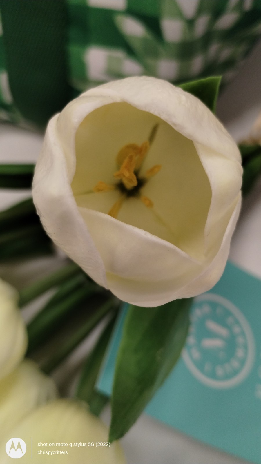 Martha Stewart artificial REAL TOUCH TULIPS Spring Summer bundle Tulip NEW set 7