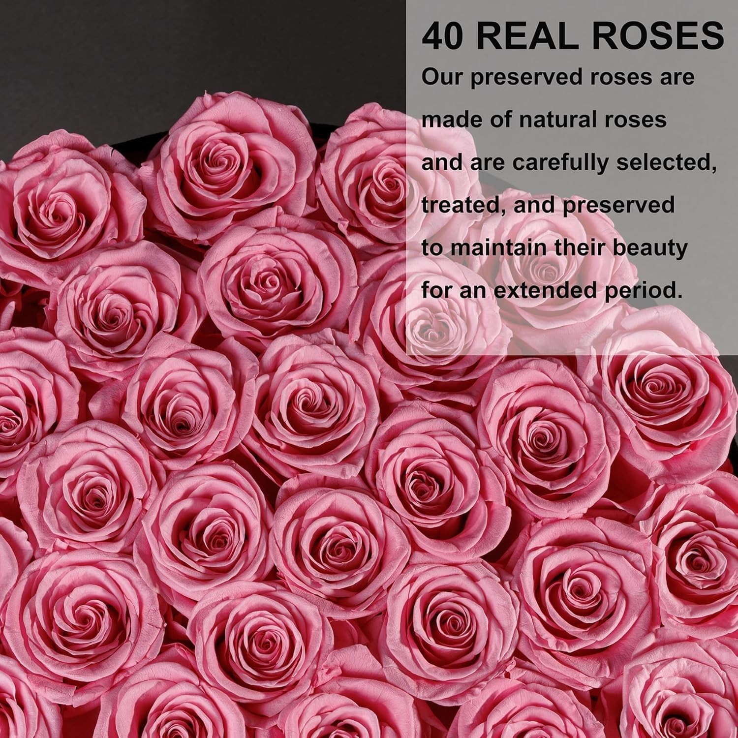 Charming 40-Piece Preserved Roses Gift in Suede Box: Lasting Elegance for Her