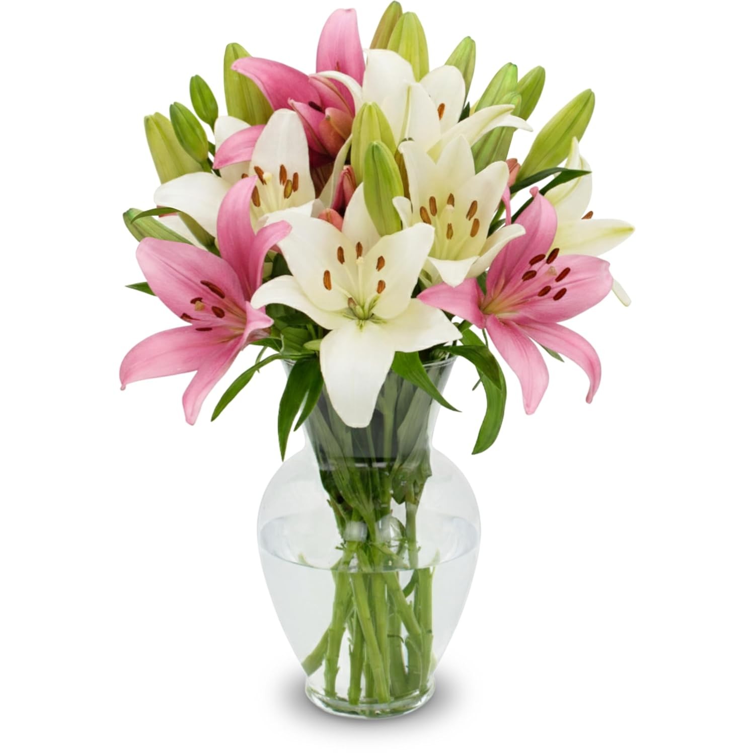10 Stem Pink White Stargazer Lily Bouquet Fresh Cut Flowers Delivery Gift