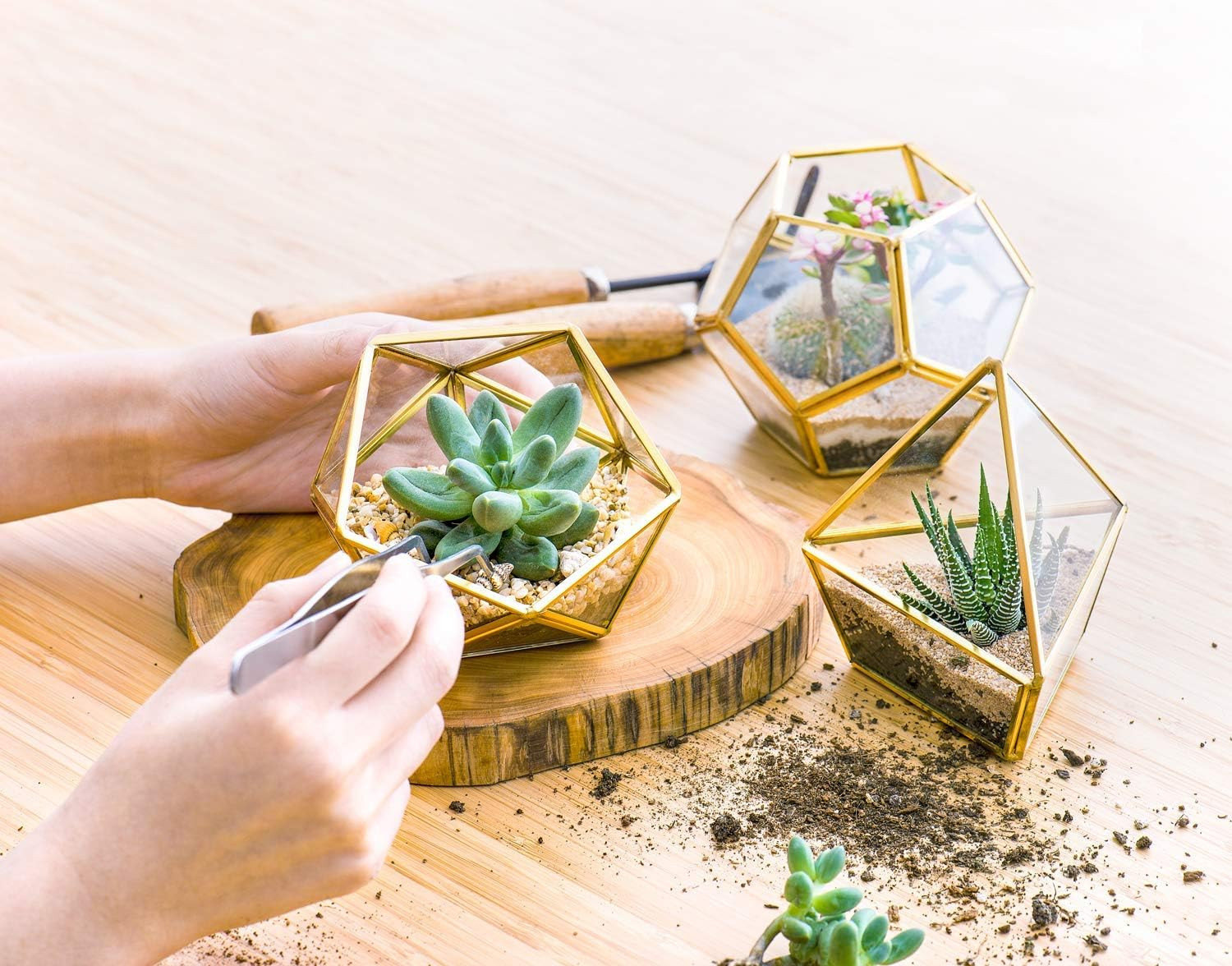 3 Pack Fake Succulents in Geometric Glass Terrarium Gold Office Decor | Lifelike
