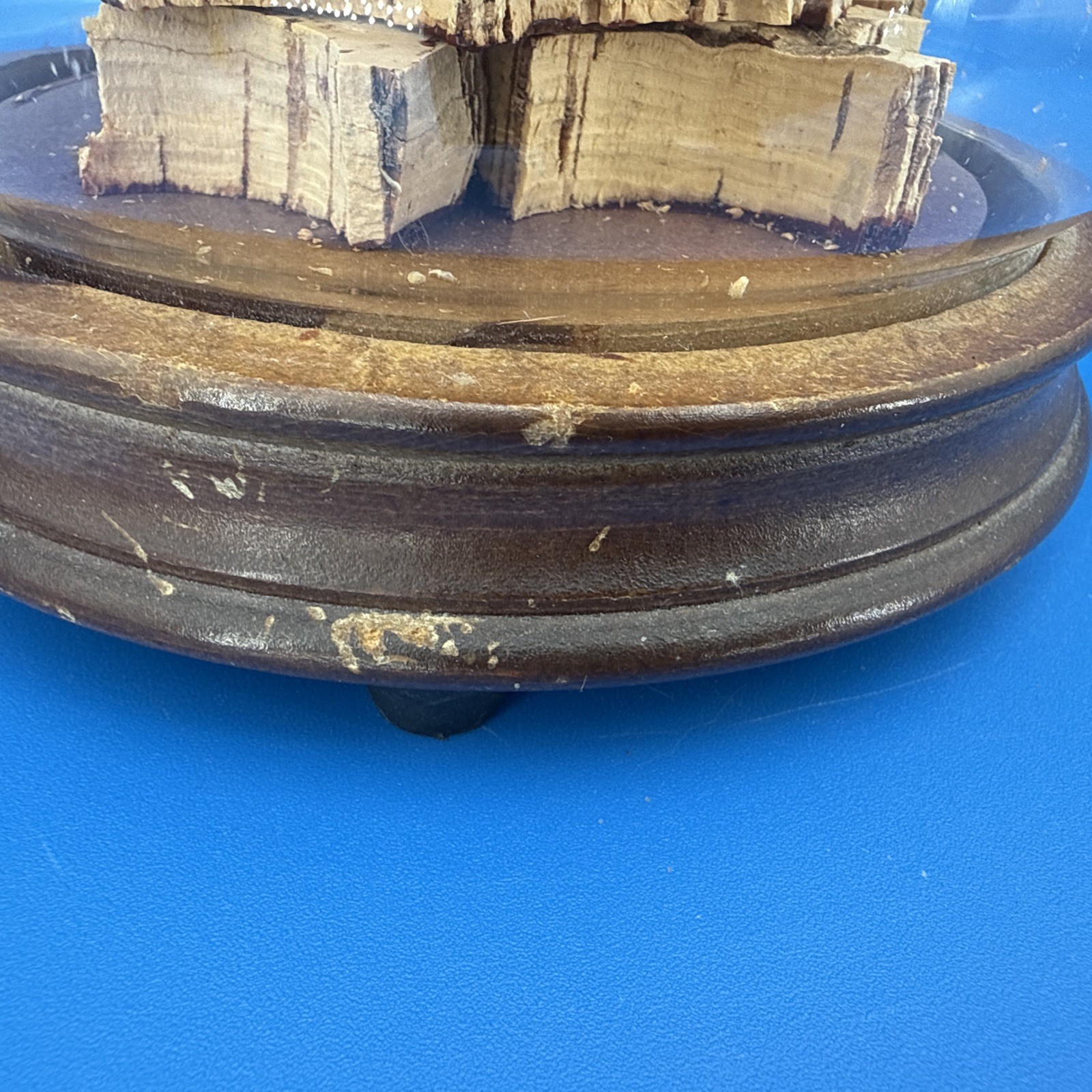 Vintage Butterfly & Flowers Under Glass Dome Wood Base