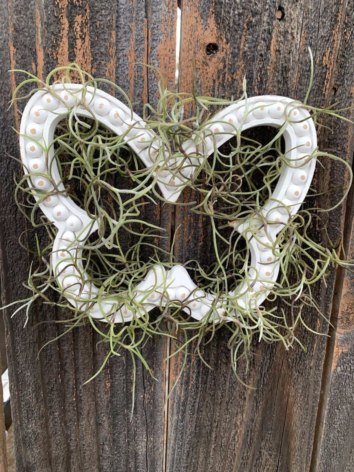 Butterfly Wall Hanging Wreath Spanish Moss Wood & Moss White/Green 10 in