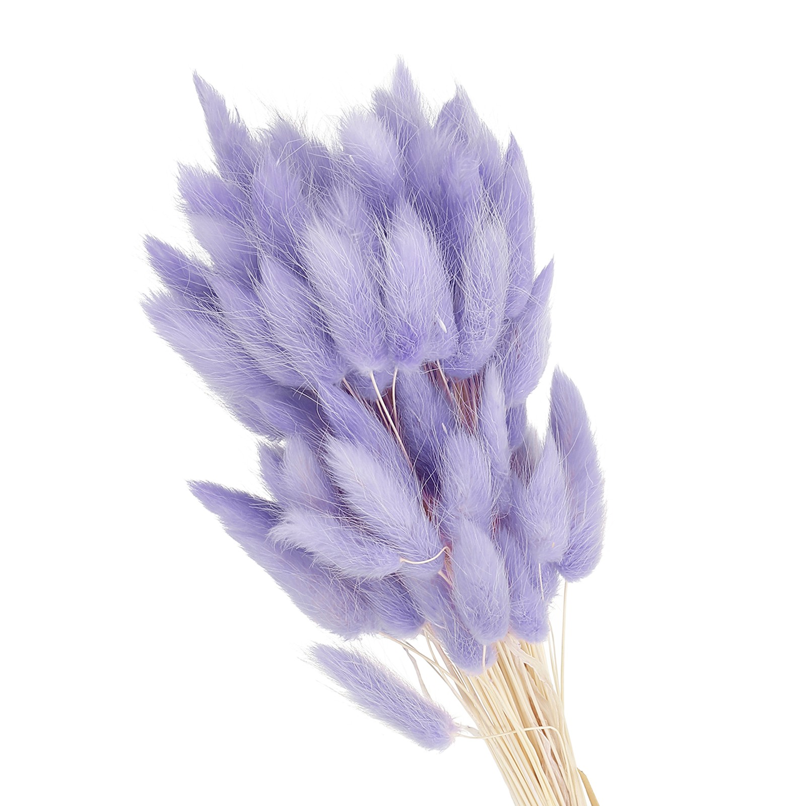 15.7in Bunny Tails Dried Flowers, 80pcs Pampas Grass Decor Rabbit Tail, Purple