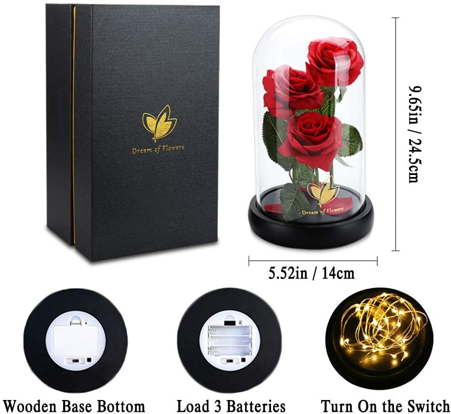 Valentines Day Gifts for Her,Beauty and the Beast Rose in Glass Dome,Anniversary