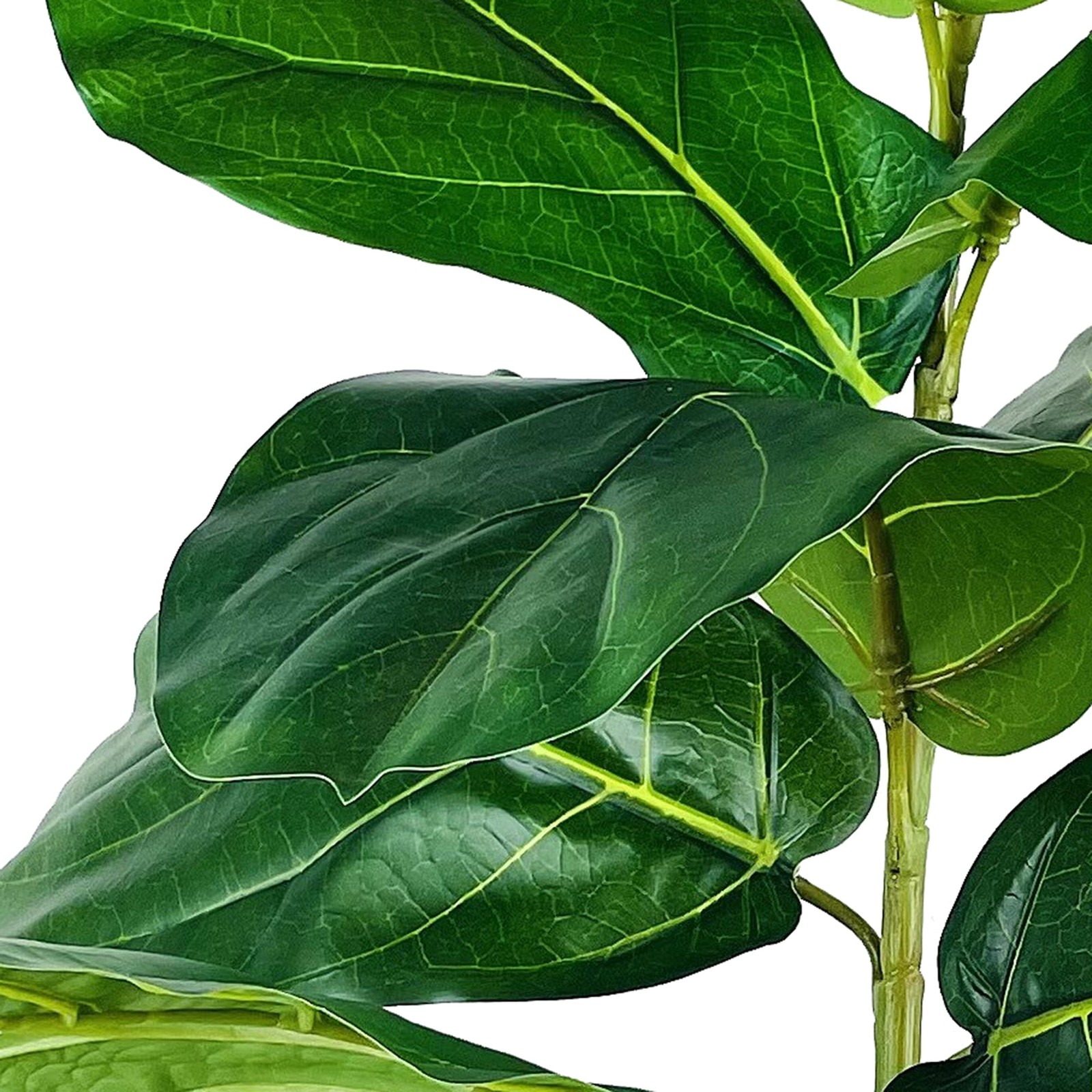 Artificial Plant, Fiddle Leaf Fig Plant, 3.33 ft, Black Plastic Grower’s Pot