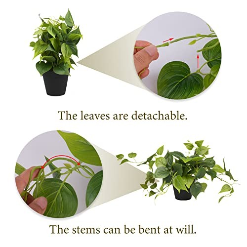 Artificial Scindapsus Aureus Fake Pothos Plants in Black Pots – Pothos-a