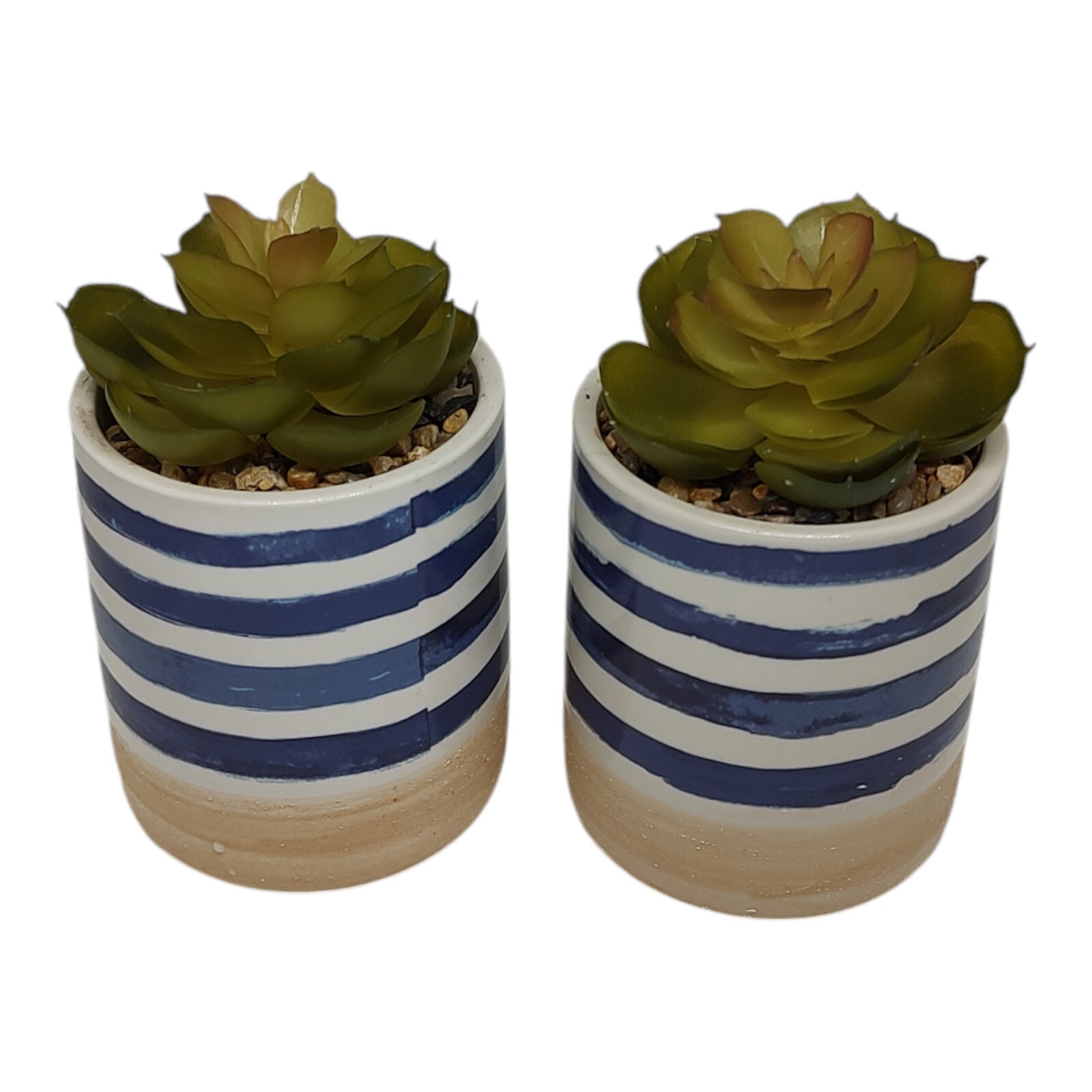 Set of 2 Faux Succulents In Ceramic Pots Rustic Coastal Small Artificial Plants