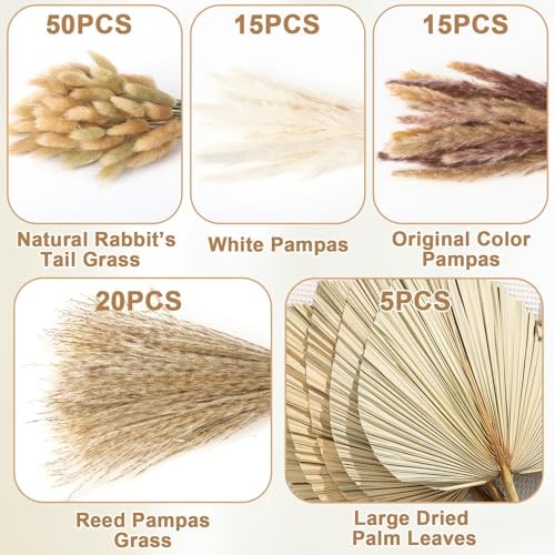 Pcs Boho Dried Pampas Grass Decor Bulk | Large Dried Palm Spears Bunny 105