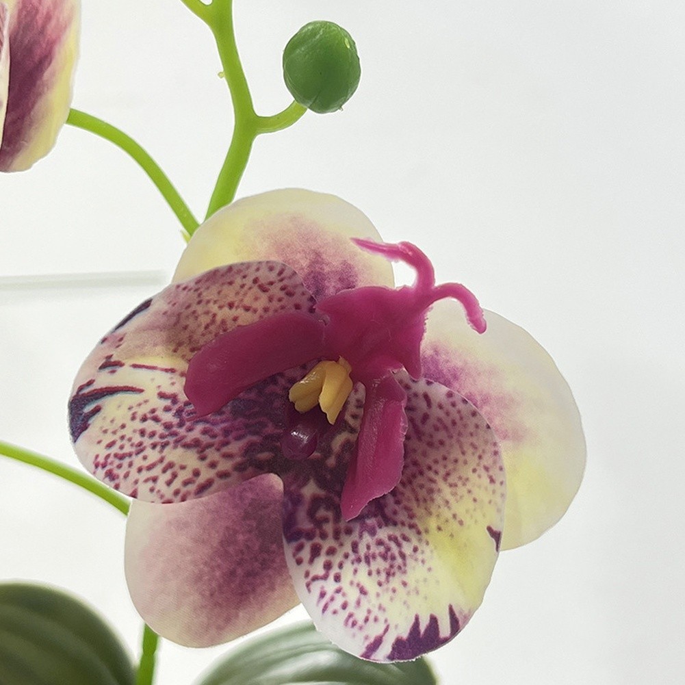for Nordic Decor Fake Phalaenopsis Orchid in Pot 24cm Height Soft Silicone
