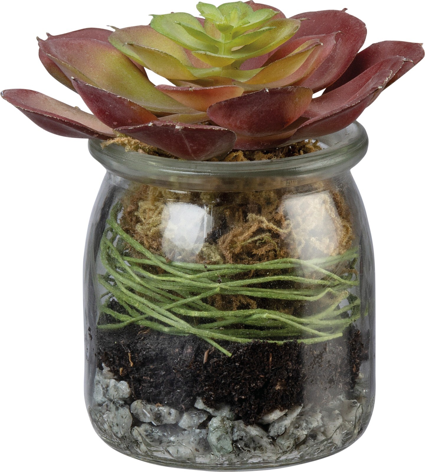 Primitives by Kathy Succulent Fake Plant Tier Tray Decor Home Southwest Cactus
