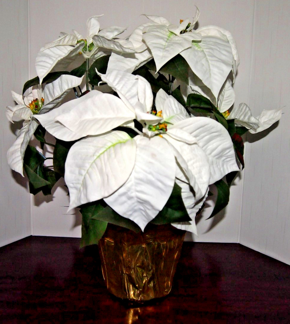 Winter/Christmas Silk Table Top White Poinsettia Plant-Approximately 18″ X 16″