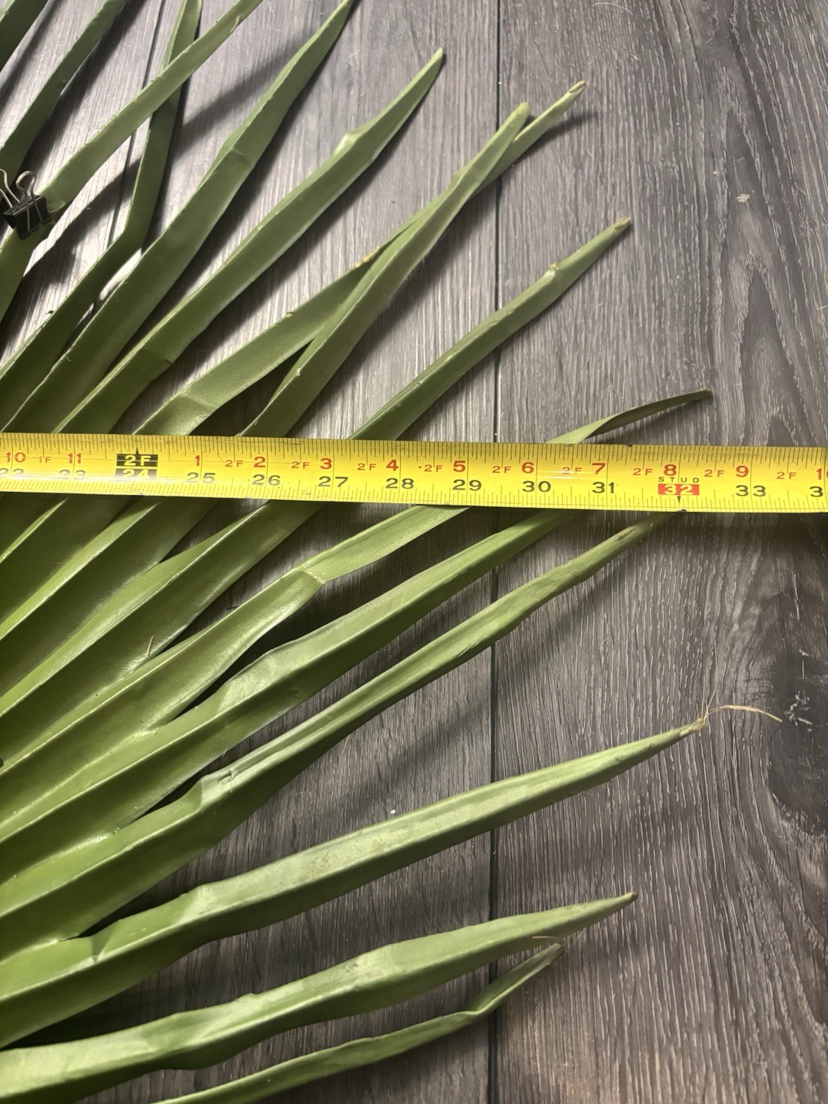 Large Fan Palm Leaf Stem 58” Tropical Boho Coastal Wedding Home Decor Prop