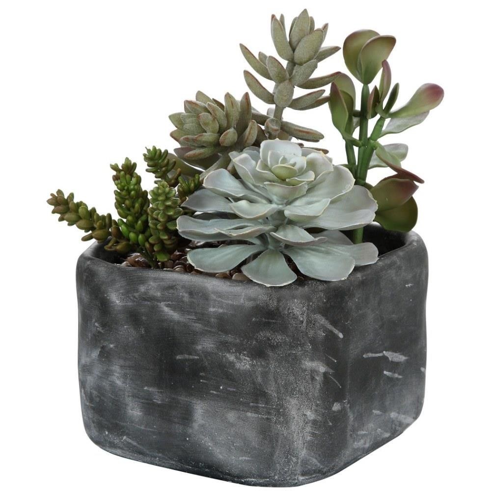 Glendower Crescent – 10 inch Desert Garden Succulents – Decor – Planters –