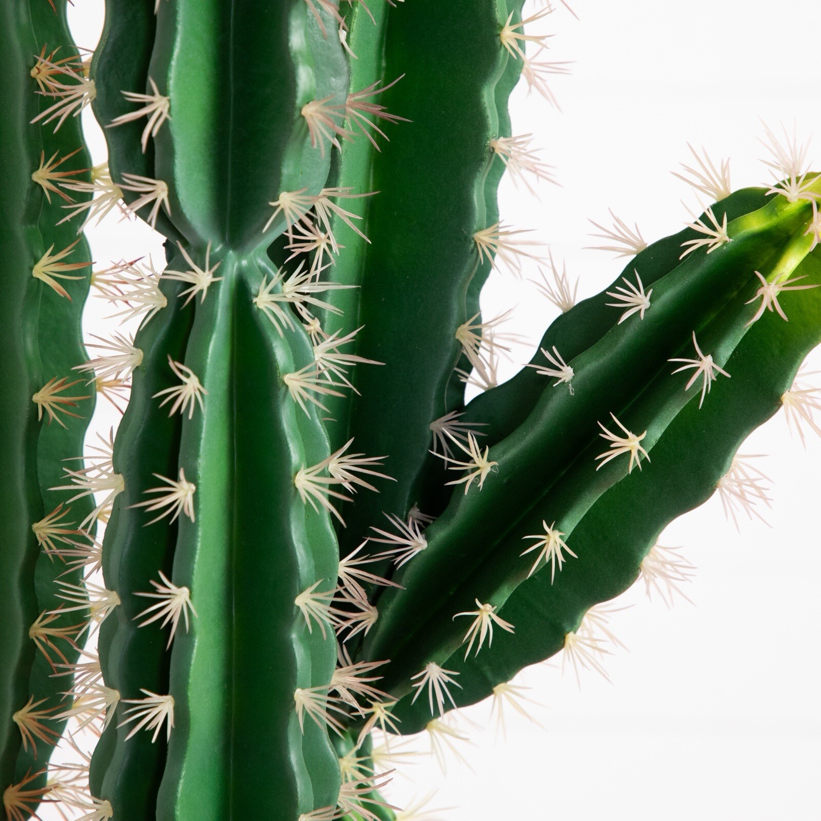 5’ Artificial Cactus in Terracotta Planter Home Decor. Retail $224