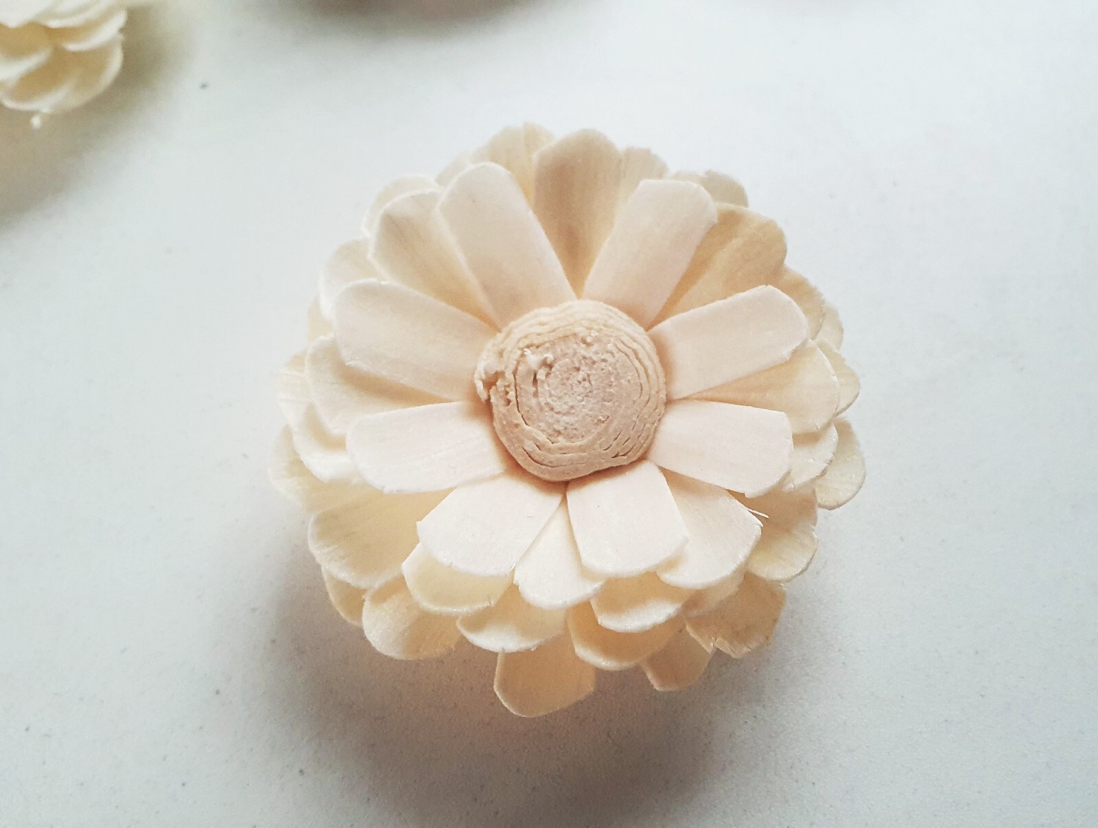 15 White Daisy Sola Wood Flower Diffuser Flowers 5 cm Dia. For Decorate Craft