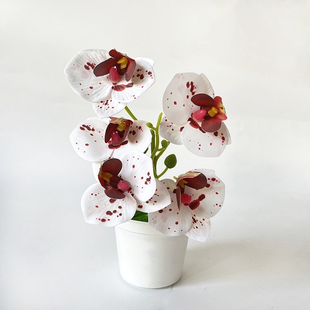 Artificial Orchid Flowers 5 Pcs 21cm Tall for Living Room Bedroom Office Decor