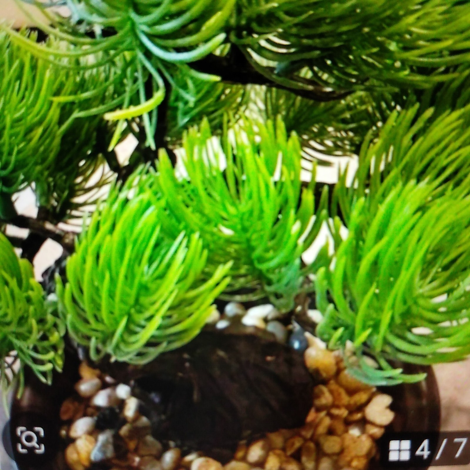 Artificial greenery inspired by the traditional Japanese craft, “bonsai.”pine