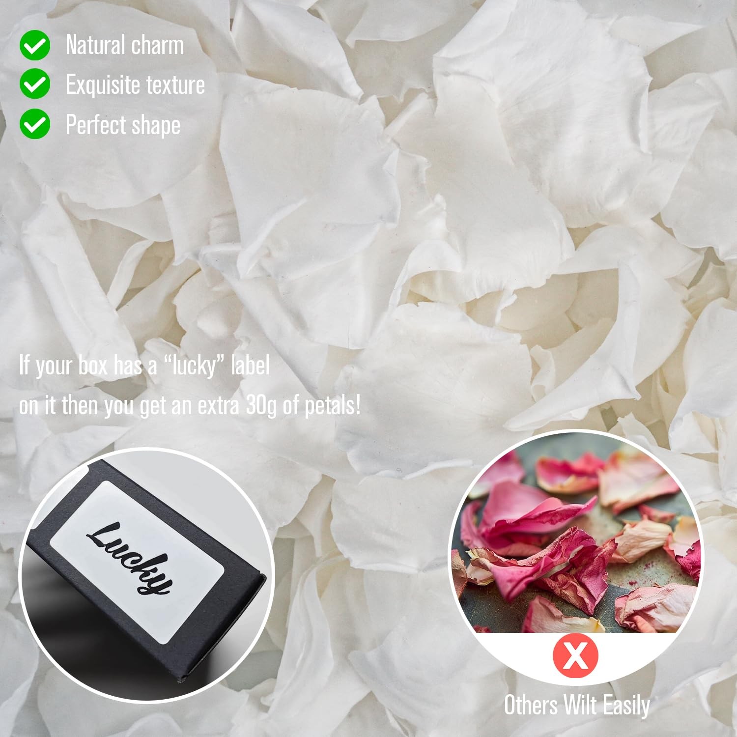 180+ pcs Real Preserved Rose Petals 1.75oz for Wedding Decor, Romantic Night,…