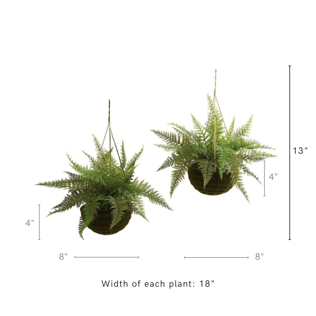 Leather Fern w/Hanging Basket (Indoor/Outdoor) (Set of 2)