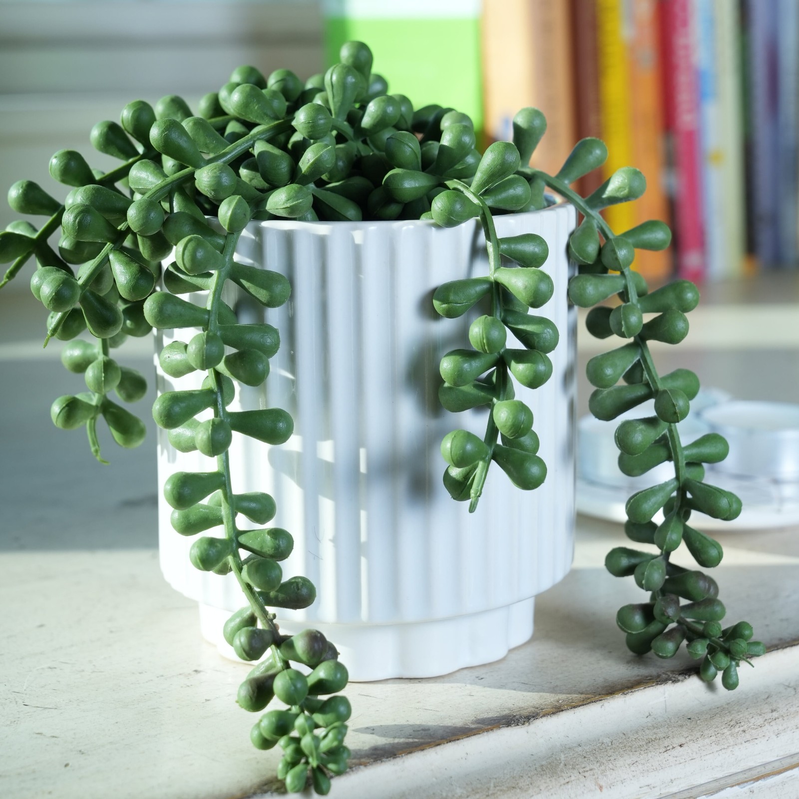 5.38” UV Protected Artificial String of Pearls in White Ceramic Pot Tabletops