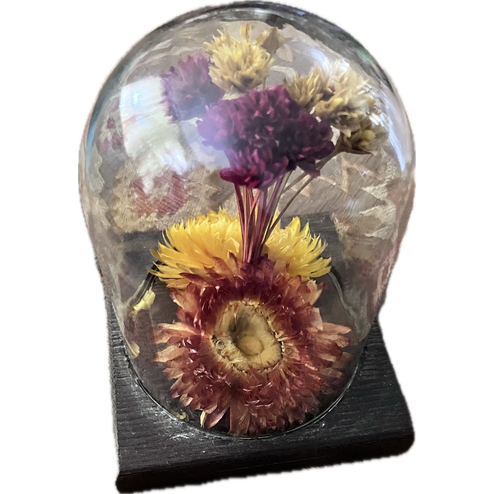 Vintage Leonard Creations Dried Flower Cloche • 1970s • 5” • Maker’s Sticker