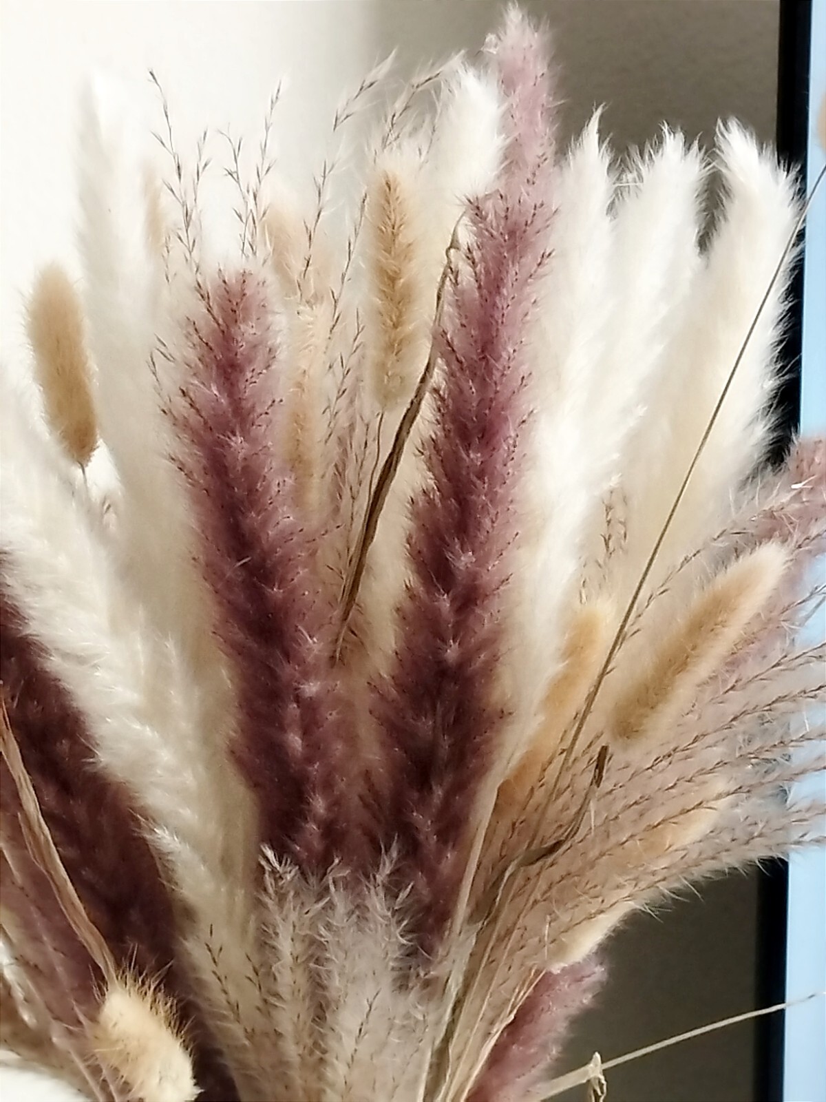 Natural Dried Pampas Grass Bouquet Tall Boho Total 75 Pcs. Decor Wedding Party
