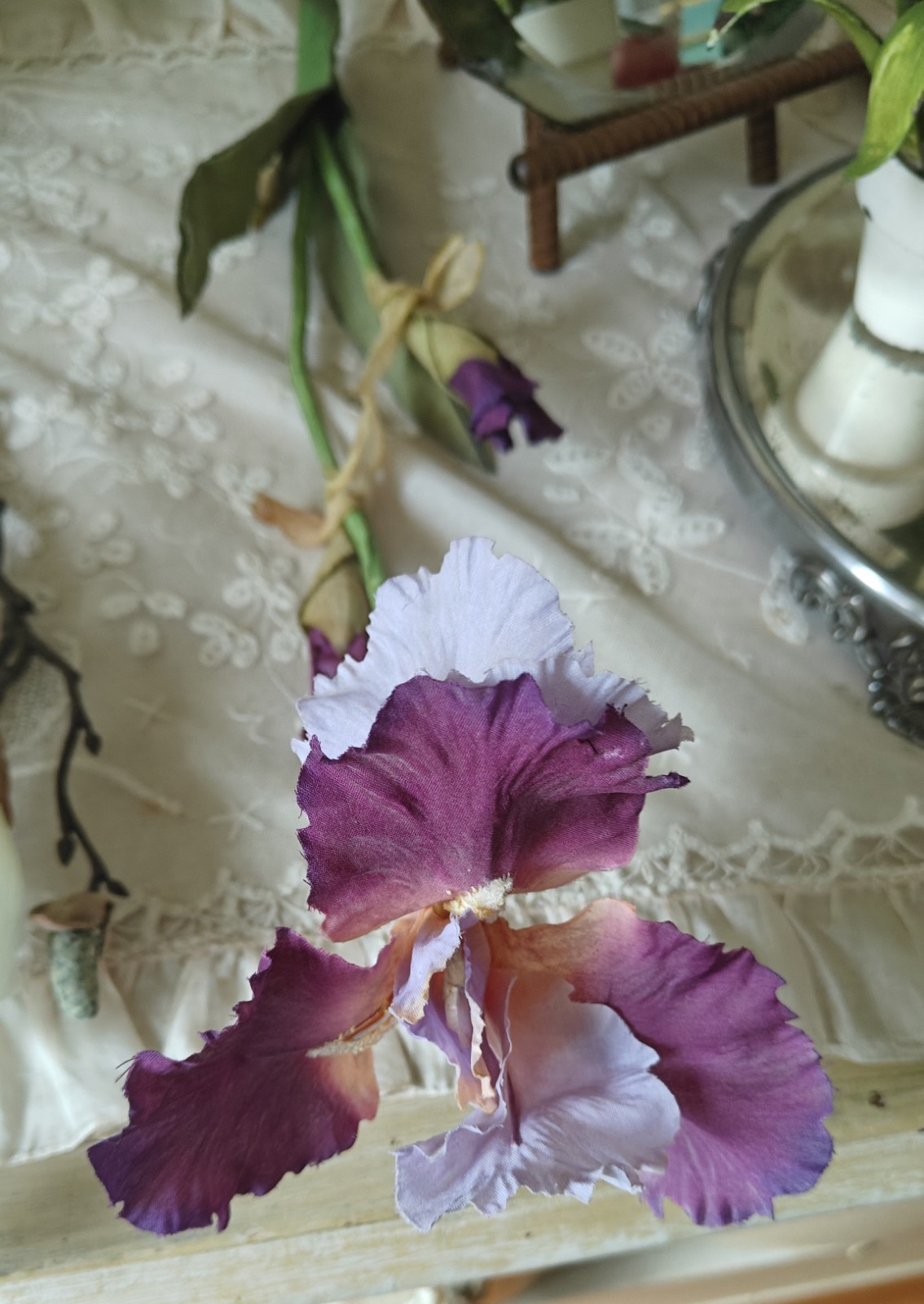 2 Large Stemmed Stems Iris And Magnolia Realistic