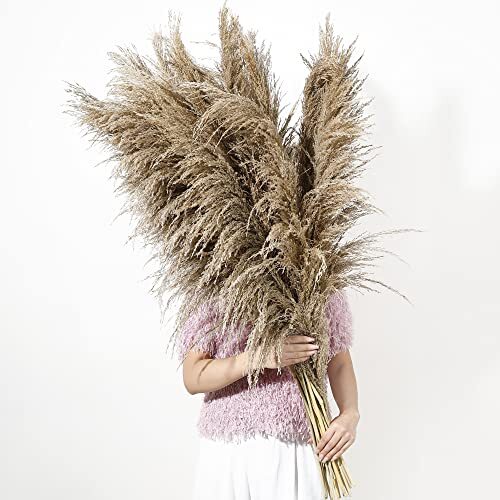 9 Stems Pampas Grass Decor Tall 48”/4 FT, Long Fluffy Dried Pompas Grass, Large