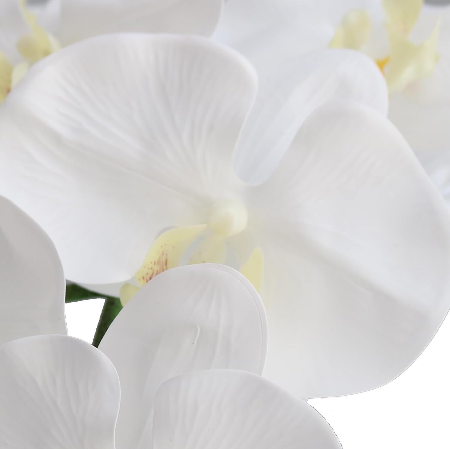 Artificial Phalaenopsis Orchid Flowers 38 Inches White Pack of 2 Home Office …