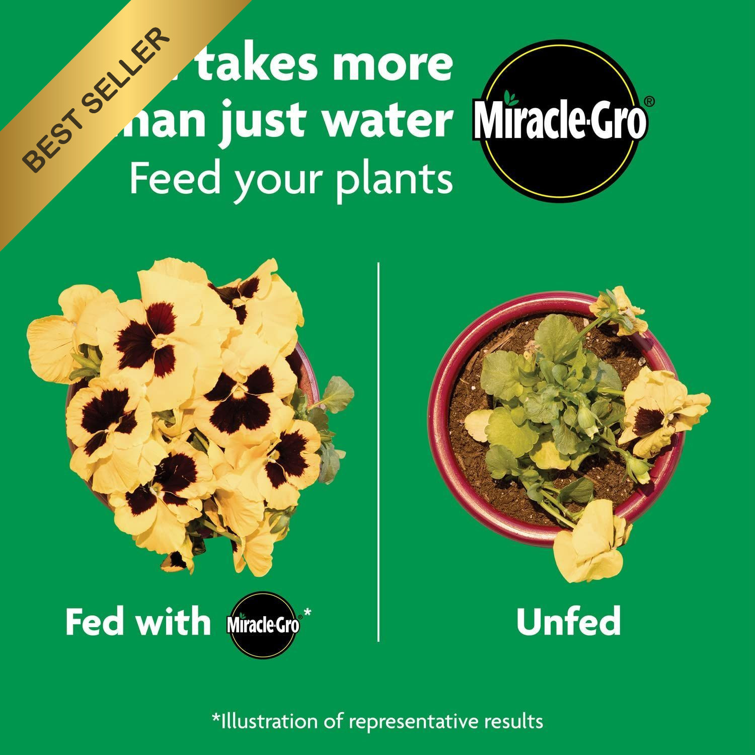 Miracle-Gro Shake ‘N Feed All Purpose Plant Food In Ground & Container 4.5 lbs