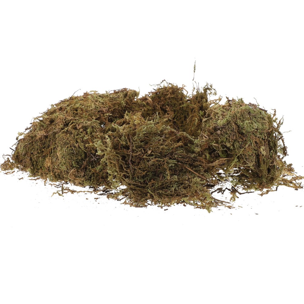 2 Packs Gardening Dried Moss Natural Moss for Flowerpot Moss Landscaping