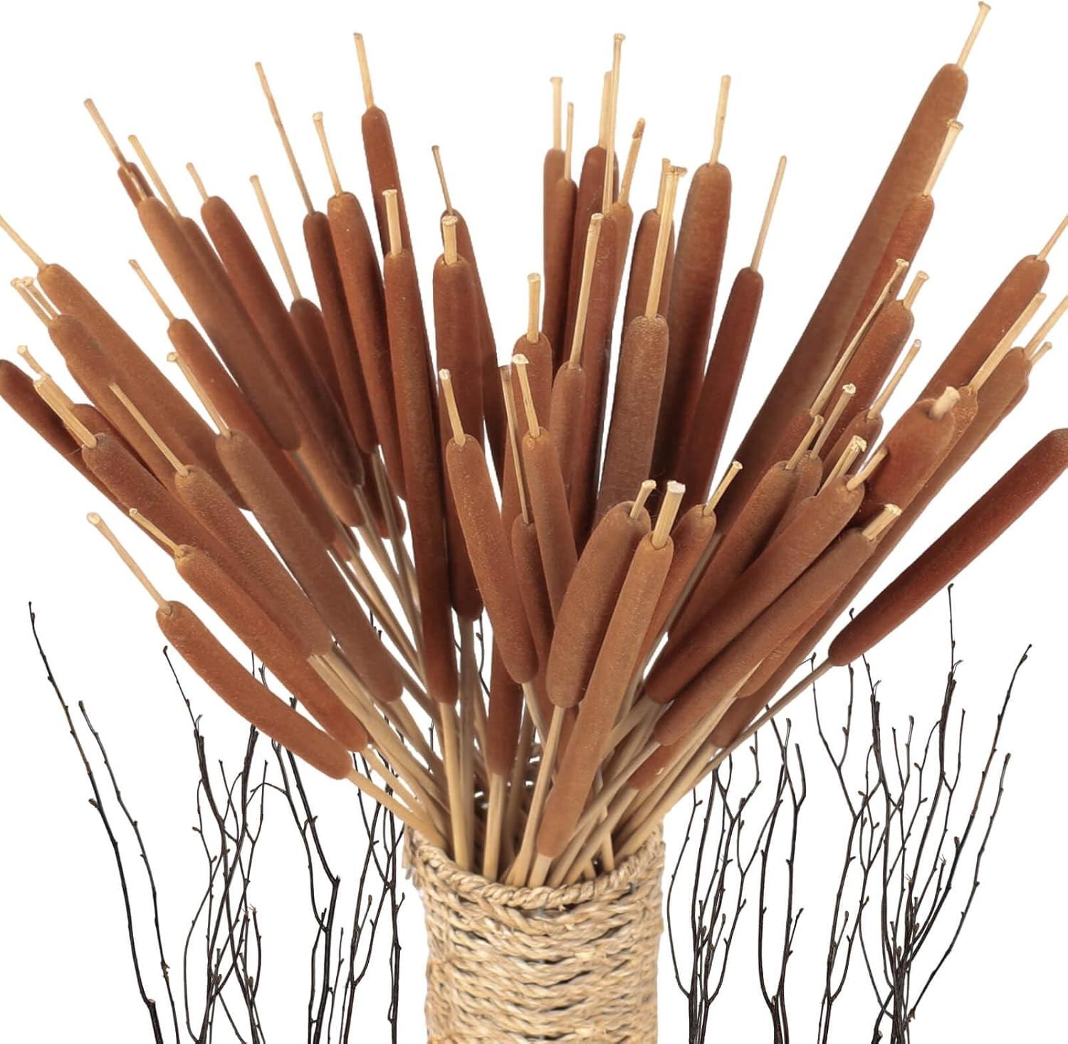 45Pcs Large Natural Brown Cattails Bundles – Dried Flowers Real Cat Tails for…