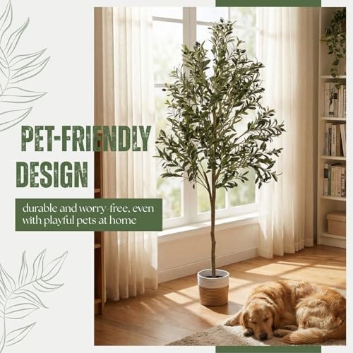 6ft Dense Leaves Artificial Olive Tree with Woven Basket – Realistic 5ft 11in