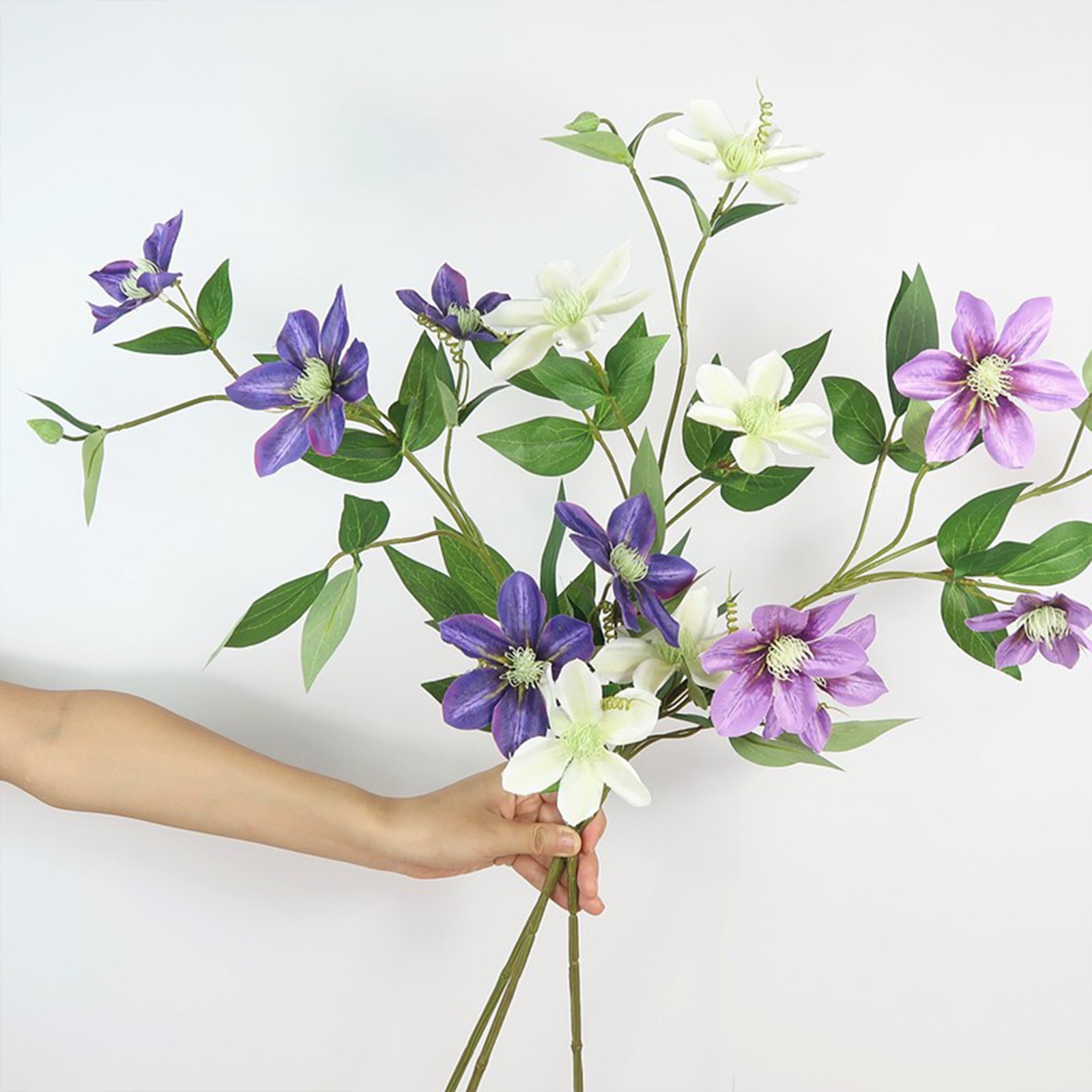 New European-style 5-headed Clematis – Deep Purple 85cm Tall Per Stem HOT