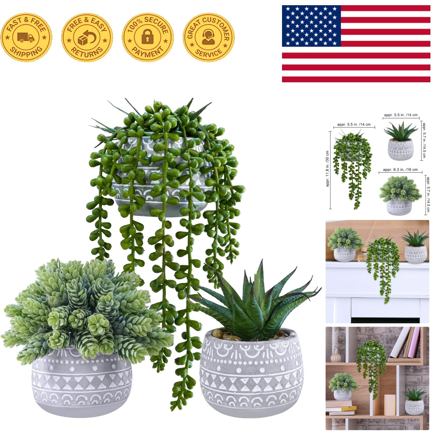 Assorted Small Potted Succulents for Modern Decor – No Maintenance Needed
