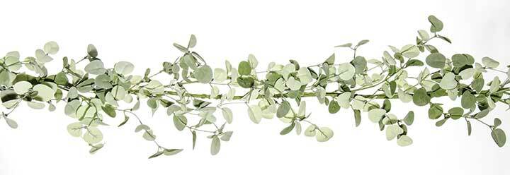 New Dusty Sage Green SILVER DOLLAR EUCALYPTUS GARLAND Swag Vine 6 ft. Long