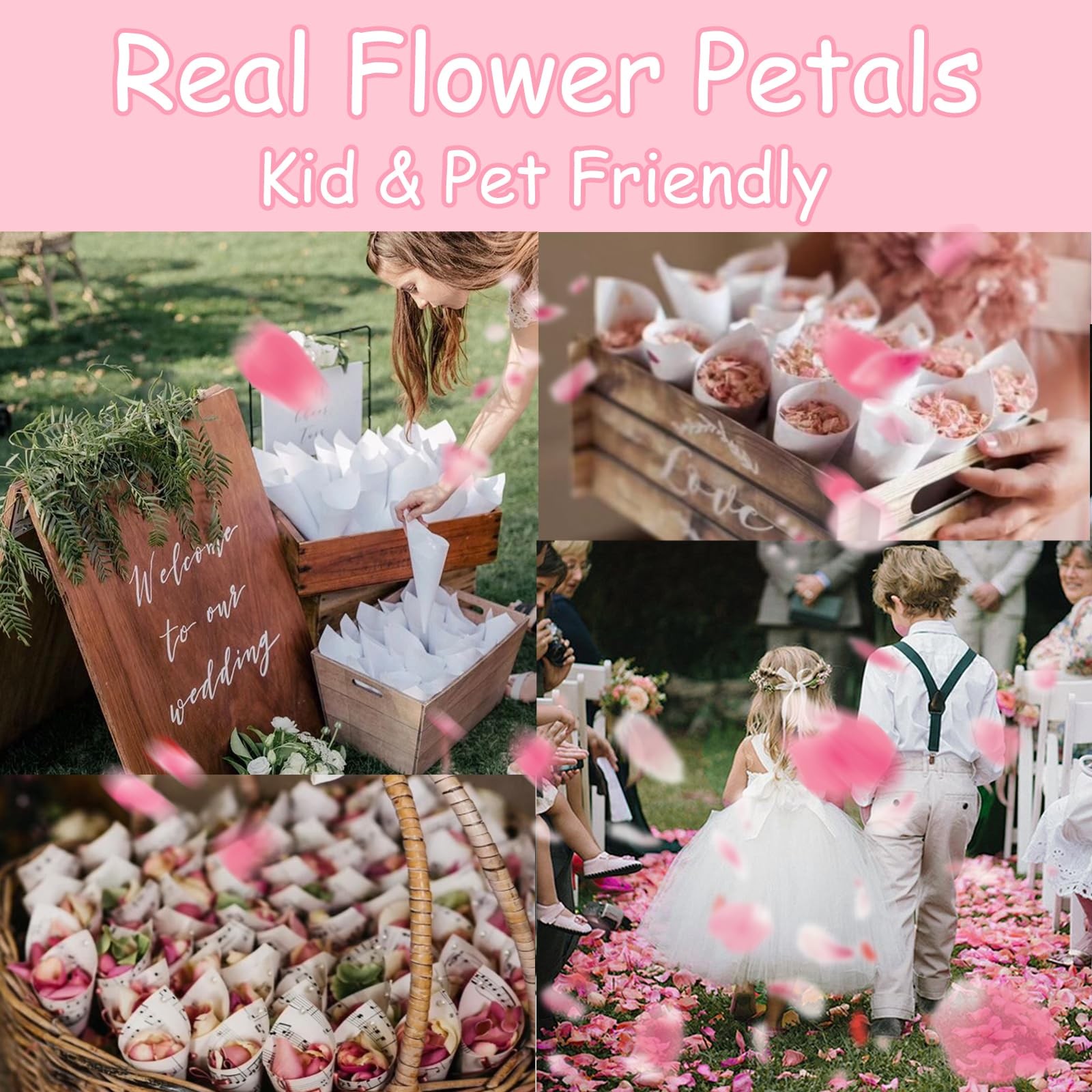 180+ PCS Real Freeze Preserved Pink Dried Rose Petals Wedding Flower Decor