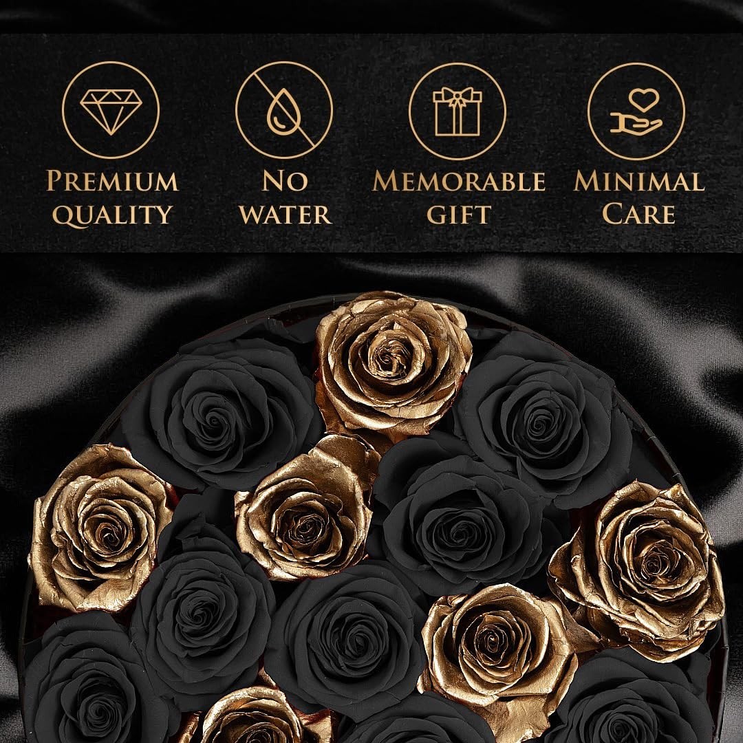 17 Black & Gold Forever Roses in Velvet Box – Luxury Preserved Graduation Gifts,