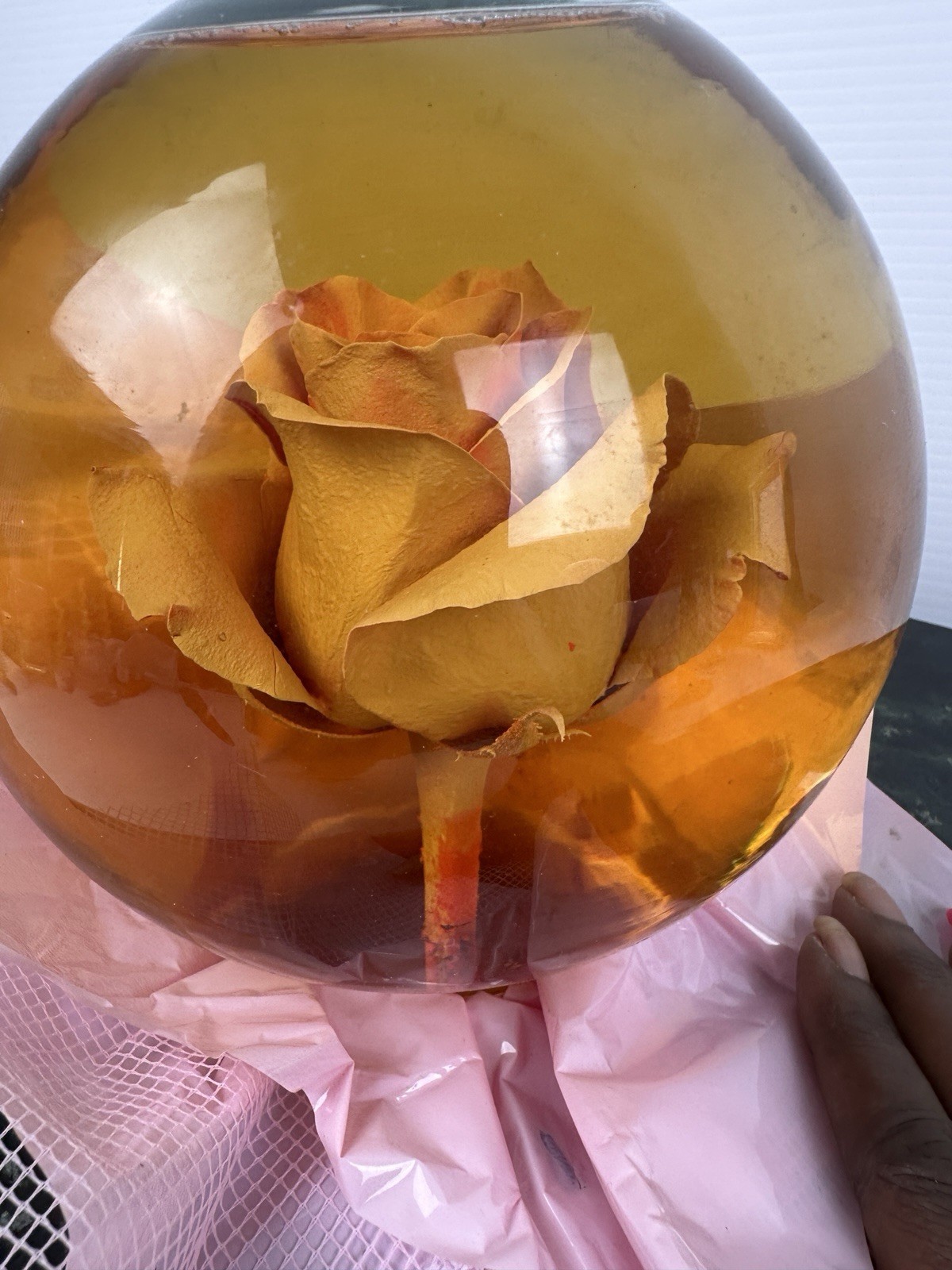 Preserved Rose Glass Dome Water Globe Floral Ornament Decor Flower Display