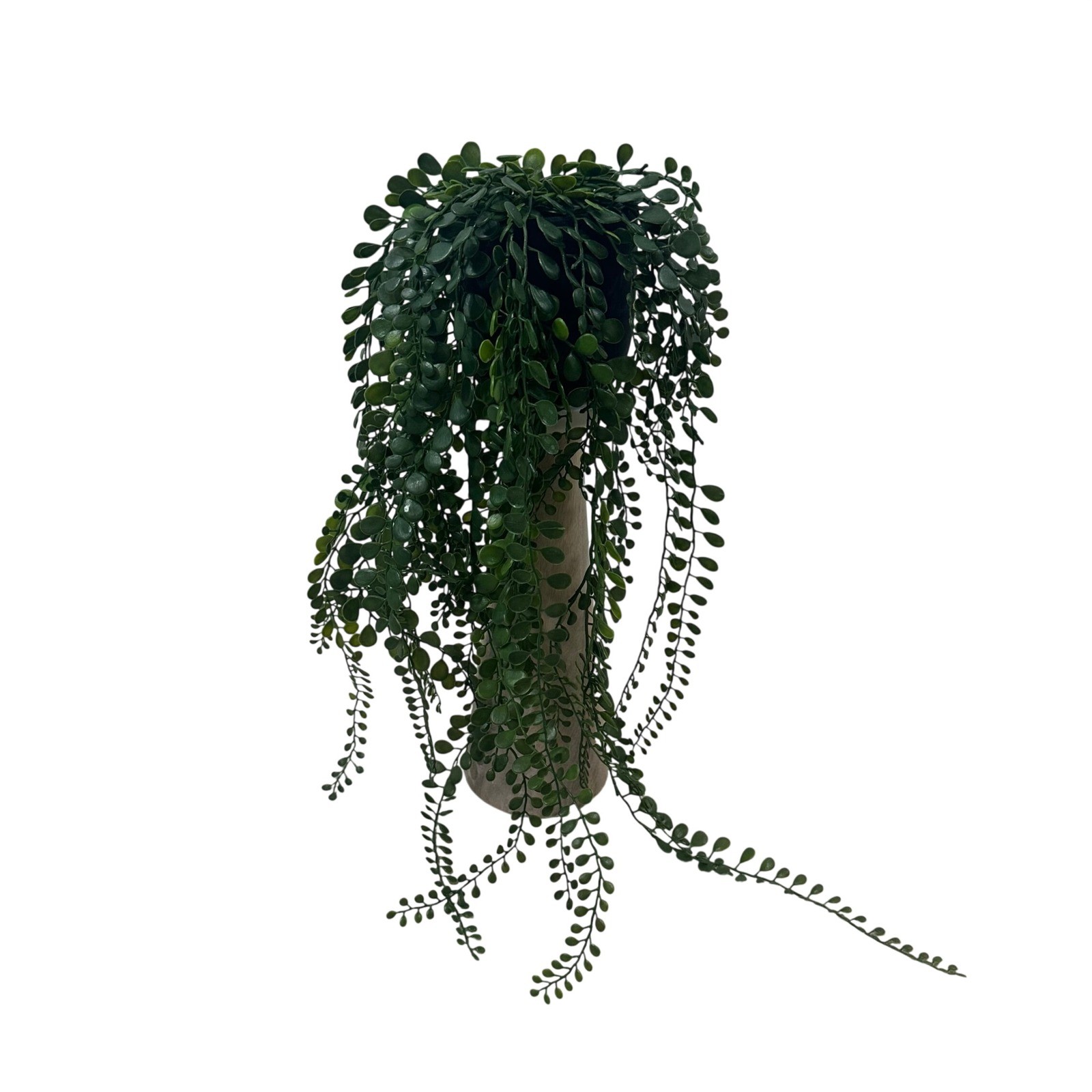 Artificial Trailing Succulent Plant in Black Matte Pot 30 Inch Green Faux Vine