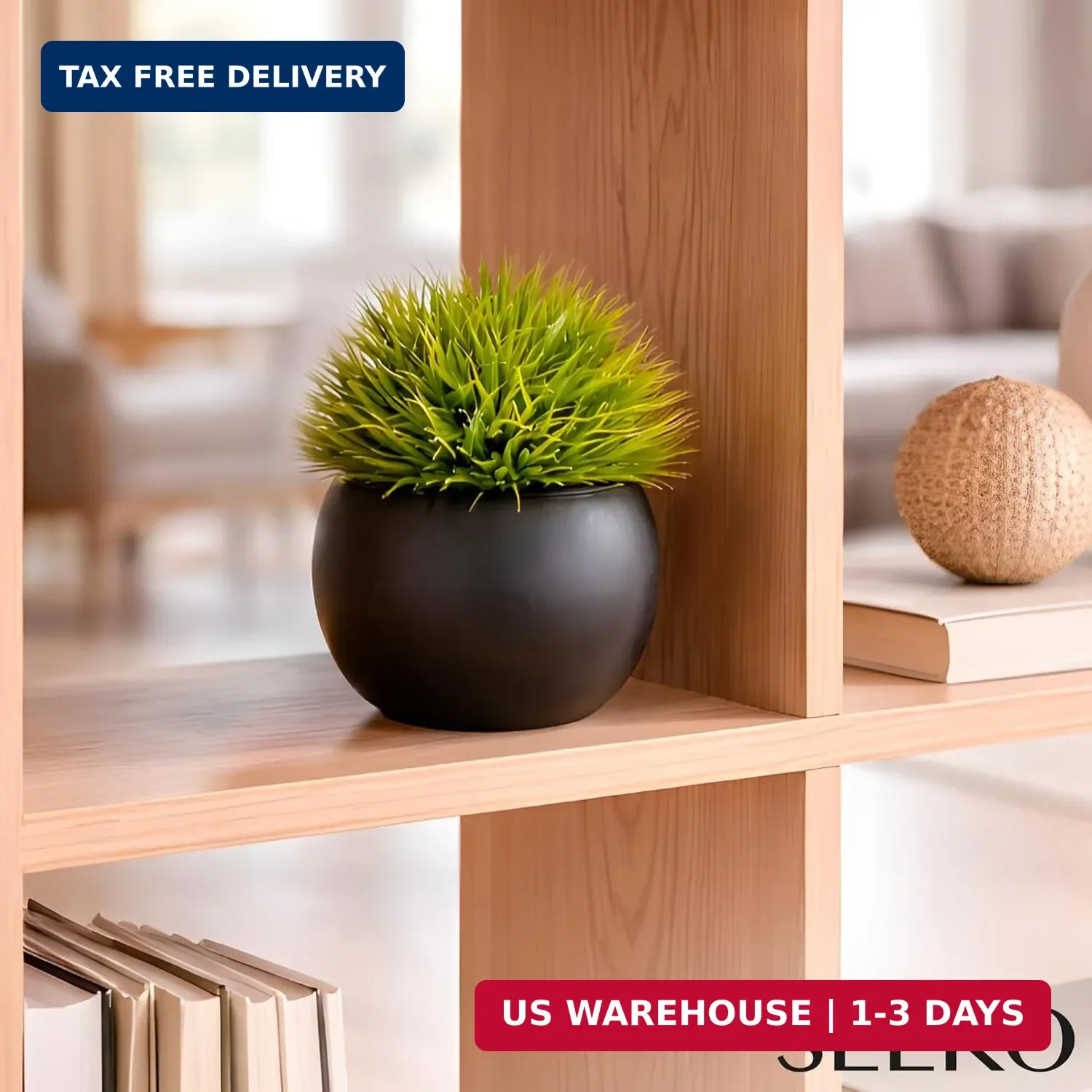Fake Succulents Plants Artificial in Premium Ceramic Pots (2 Pack Round) Realist