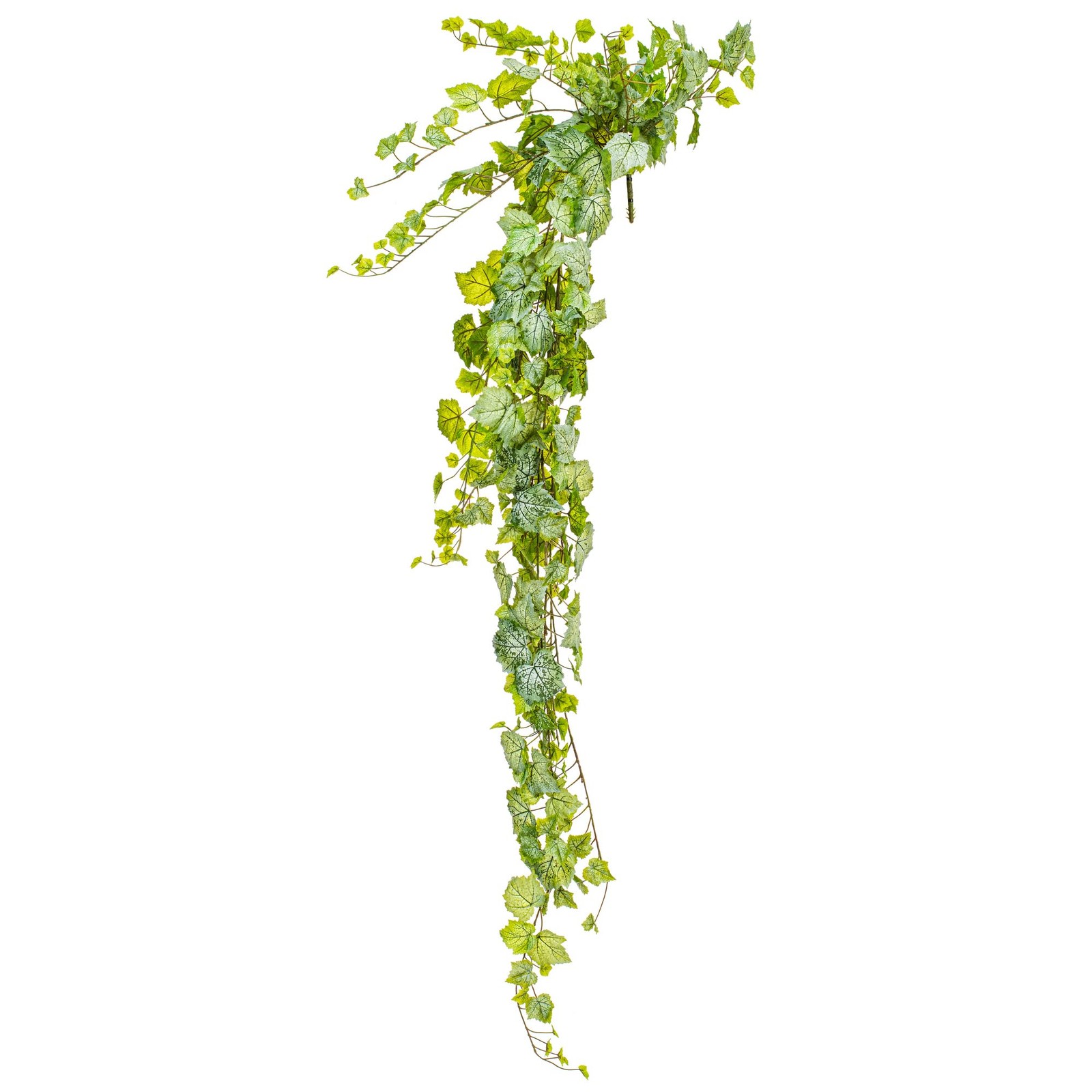 Vickerman 6′ Fabric Artificial Grape Leaf Ivy Hanging Bush in Green/White