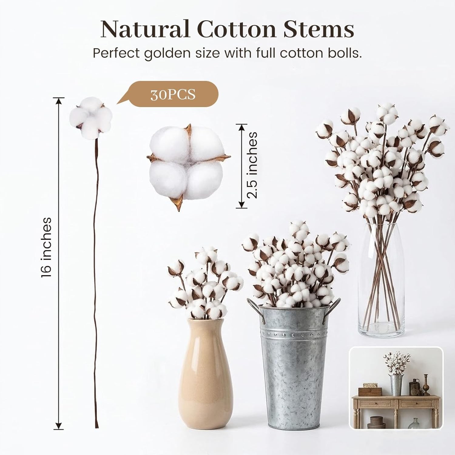 DomeStar 30PCS Natural Dried Cotton Stems, Multi White