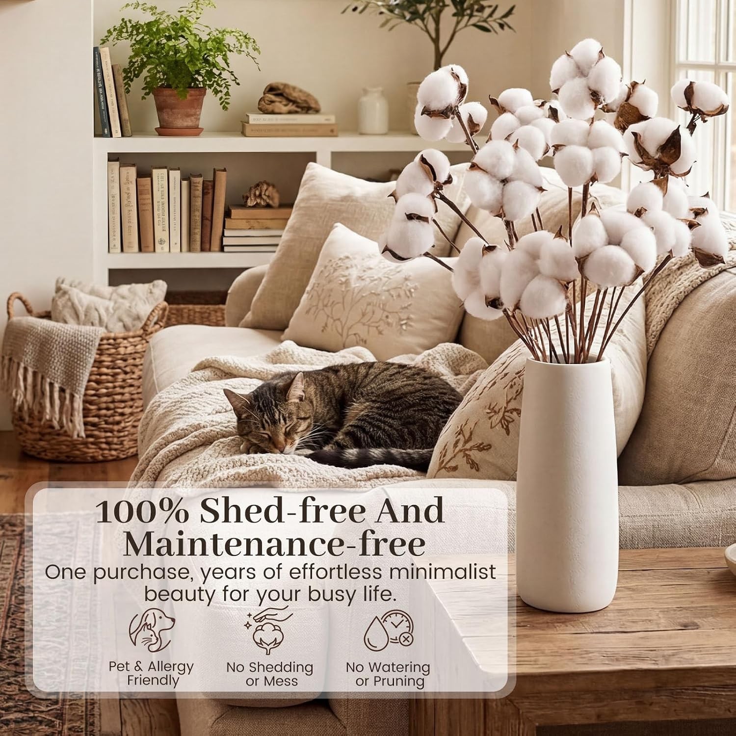 Cotton Stems 8 Packs with 15 Bolls, Natural Dried Flowers Cotton Sprigs for Vase